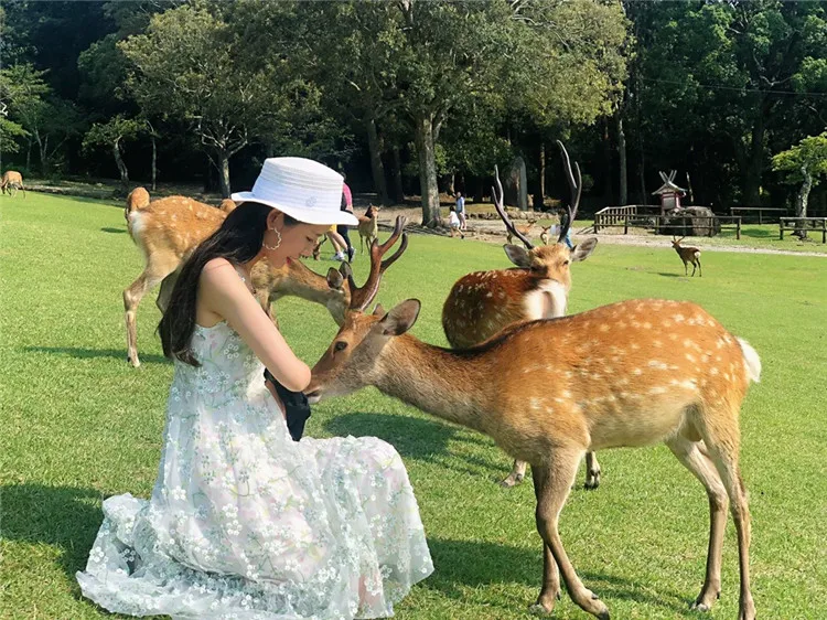 1 ярд цена свежая сетчатая ткань с мелкими цветами зеленая ветка мягкая сетка для