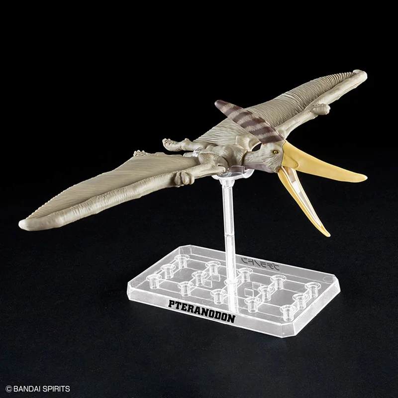 Фото BANDAI пластиковый динозавр пневнозавр птерандон сборная модель фигурки, содержащие скелетовые окаменелости подарки оригинальные №4