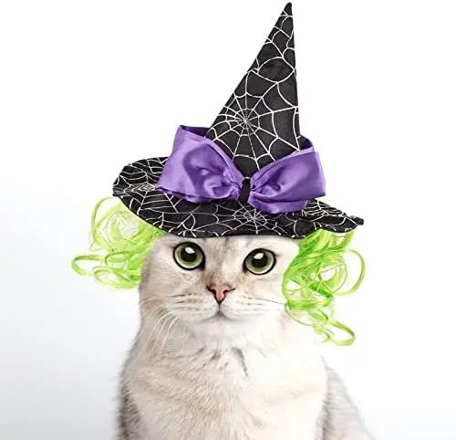 

Cat Halloween Costume Puppy Witch Hat Cat Wizard Hat Wig Dog Cosplay Sorcery Hat