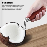 new coconut tool stainless steel coconut meat removal durable wooden removal hole opener handheld diy shaving scraper accessory