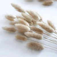 natural rabbit tail grass bunny tails dried flowers bunch bouquet natural dried flowers party ceremony wedding home decoration