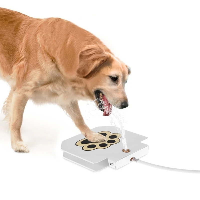 

Paw Activated Dog Drinking Fountain Water Dispenser for Large Medium Dogs