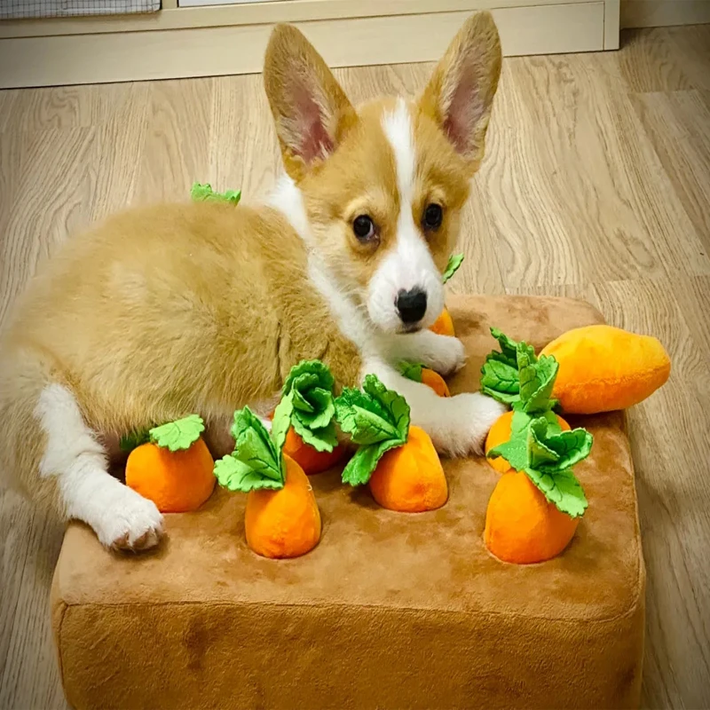 Плюшевая морковка для сбора домашних животных игрушка-пазл собака жевательные
