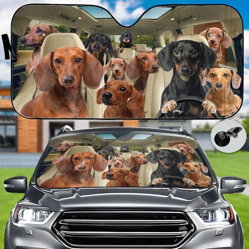 

Dachshund Family Car Sunshade, Dachshund Car Sunshade, Dachshund Sunshade, Dachshund Car Windshield, Auto Sun Shade