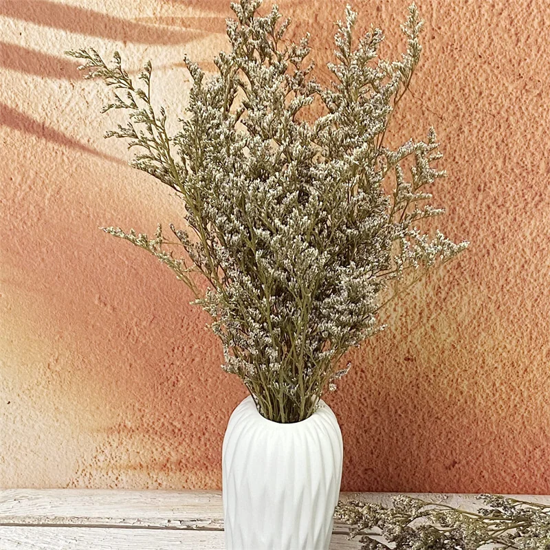 

Preserved Caspia Statice Flower Bouquets,100% Natural Long Lasting Boho Flowers Arrangements for Weddings Decoration Photo Props