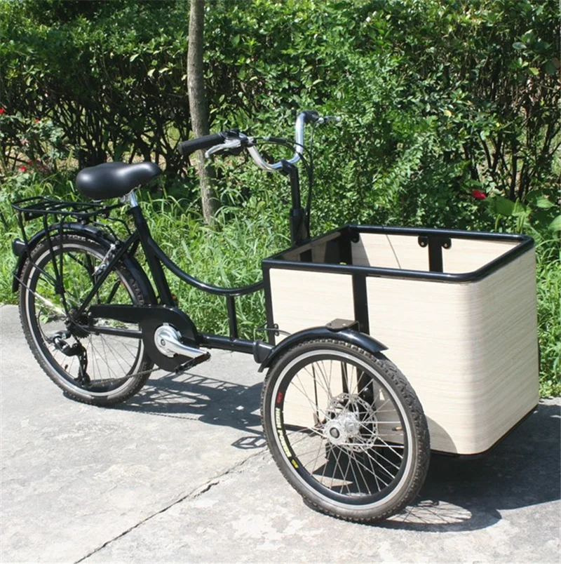 Mini Electric Mobile Cargo Bike Adult 