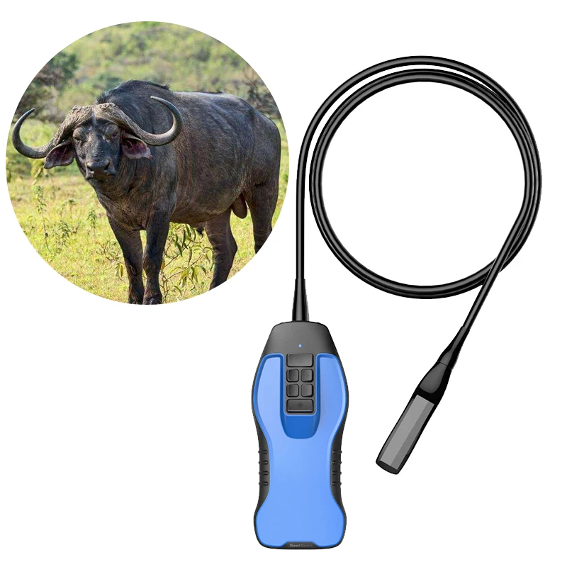 

Wireless Ultrasound Vet Probr For Bovine,Equine,Ovine Scanning