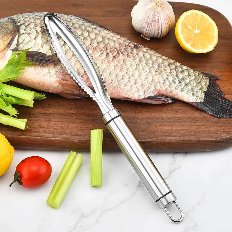 

Portable Stainless Steel Fish Scaler Fishing Scalers Cleaning Remover Cleaner Descaler Scraper Seafood Tools Kitchen Accessories