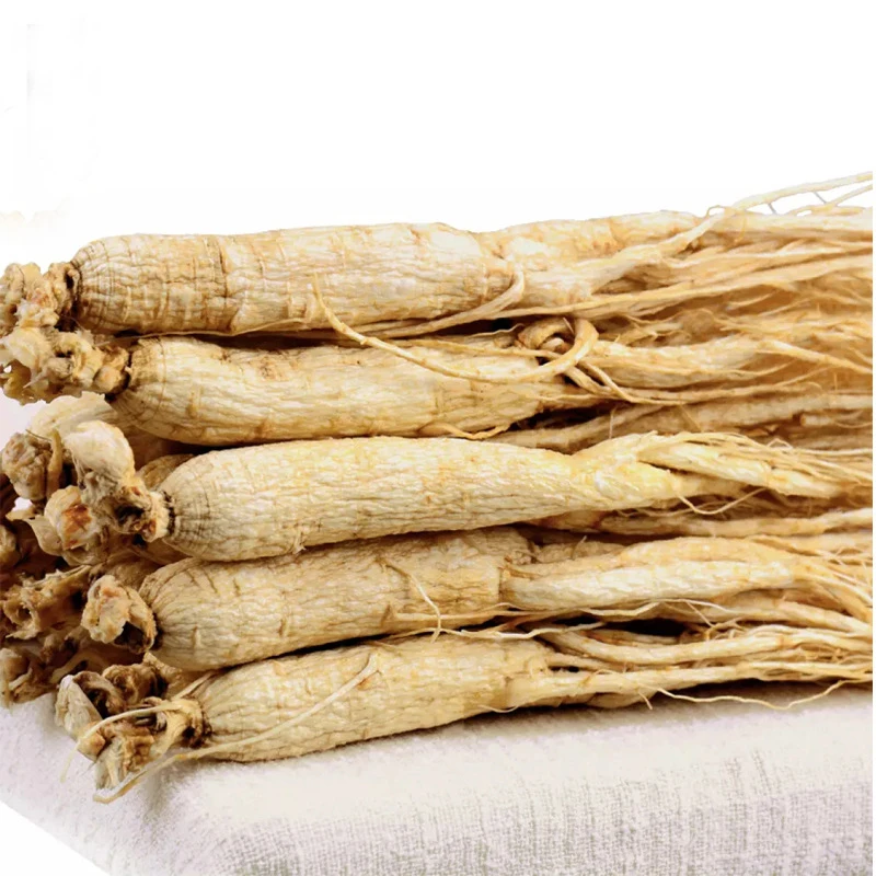 

White Ginseng Root,PANAX GINSENG,White Ginseng,Dried Ginseng,Renshen