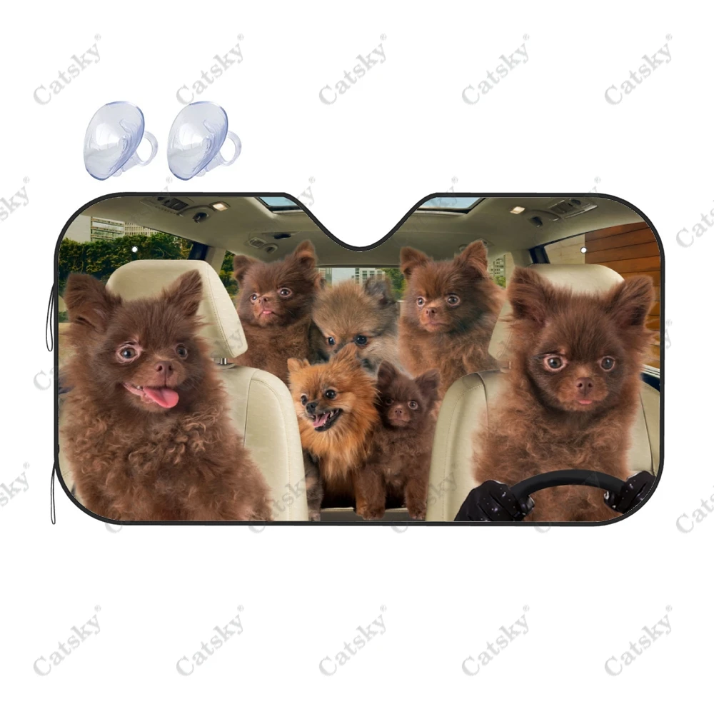 Солнцезащитный козырек для автомобиля БелКА подарок любителей автомобильного