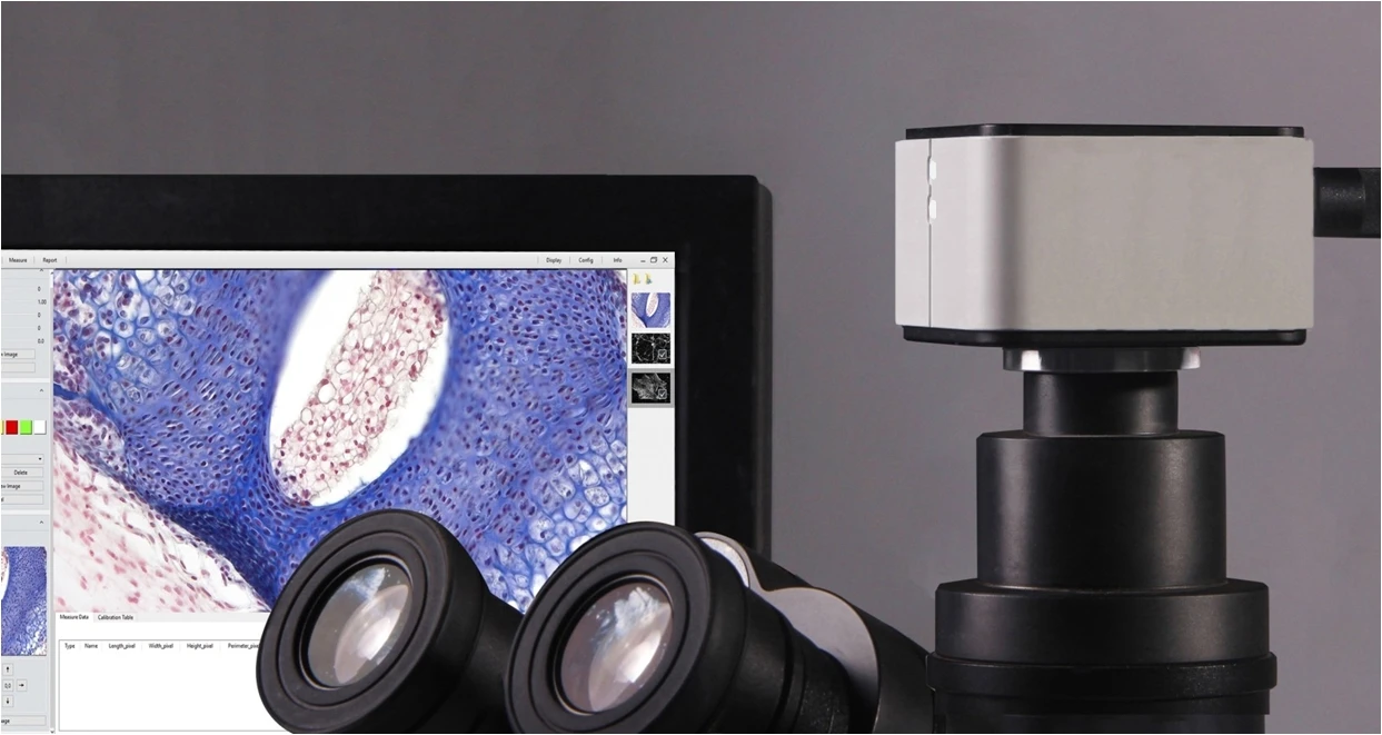 BestScope BUC5H-500C камера для поляризационного микроскопа