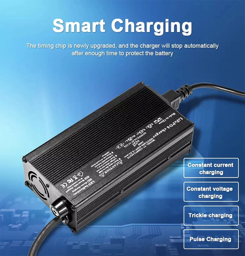 3.65V 20A 10A 25A Smart LiFePO4 Cell Lithium Auto Charger For 1S 3.2V Lithium Iron Phosphate Rechargeble BYD EVE CATL CALB Cell