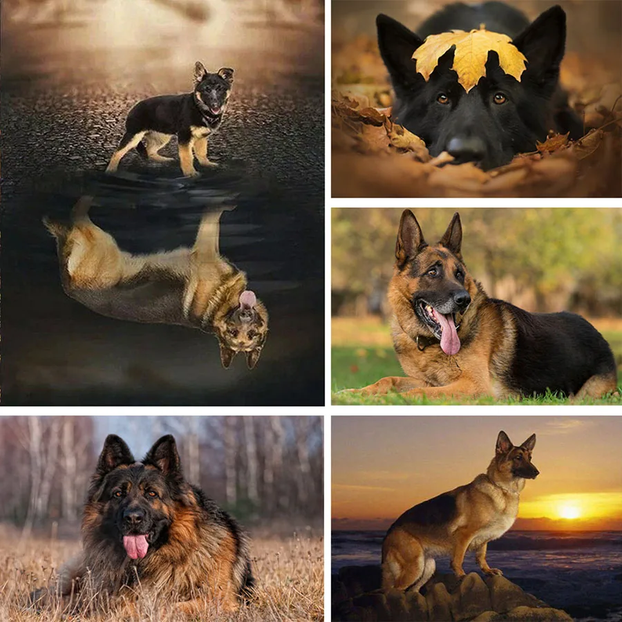 

5D Diy Diamond Painting German Shepherd Full Round Drill Embroidery Diamond Mosaic Animals Pet Dog Rhinestones Pictures