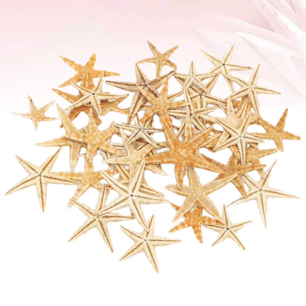

Shell Sculpture Sea Ornament Micro Seashells Landscape Mini Wreath Rhinestone Filler Vase Decoration Aquarium Tankmaking Fish