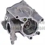 

7.24807.29.0 for vacuum pump AMAROK CC EOS GOLF VI PASSAT SCIROCCO TIGUAN T6 T7 A5 Q5 OCTAVIA SUPERB 2.0 TSI / TFSI CCZB AXX