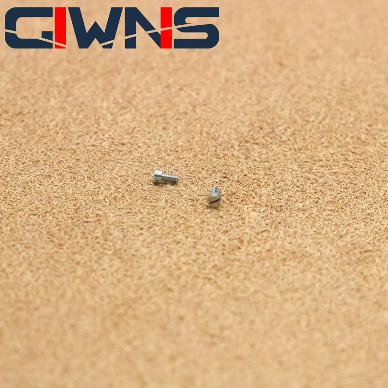 Strap  Screw For Franck Muller  V45  Watch