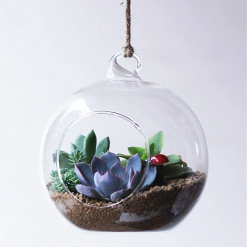 

Clear Flower Hanging Ball Vase Planter Terrarium Container Borosilicate Glass For Succulent Planting Home Wedding Decor 10mm