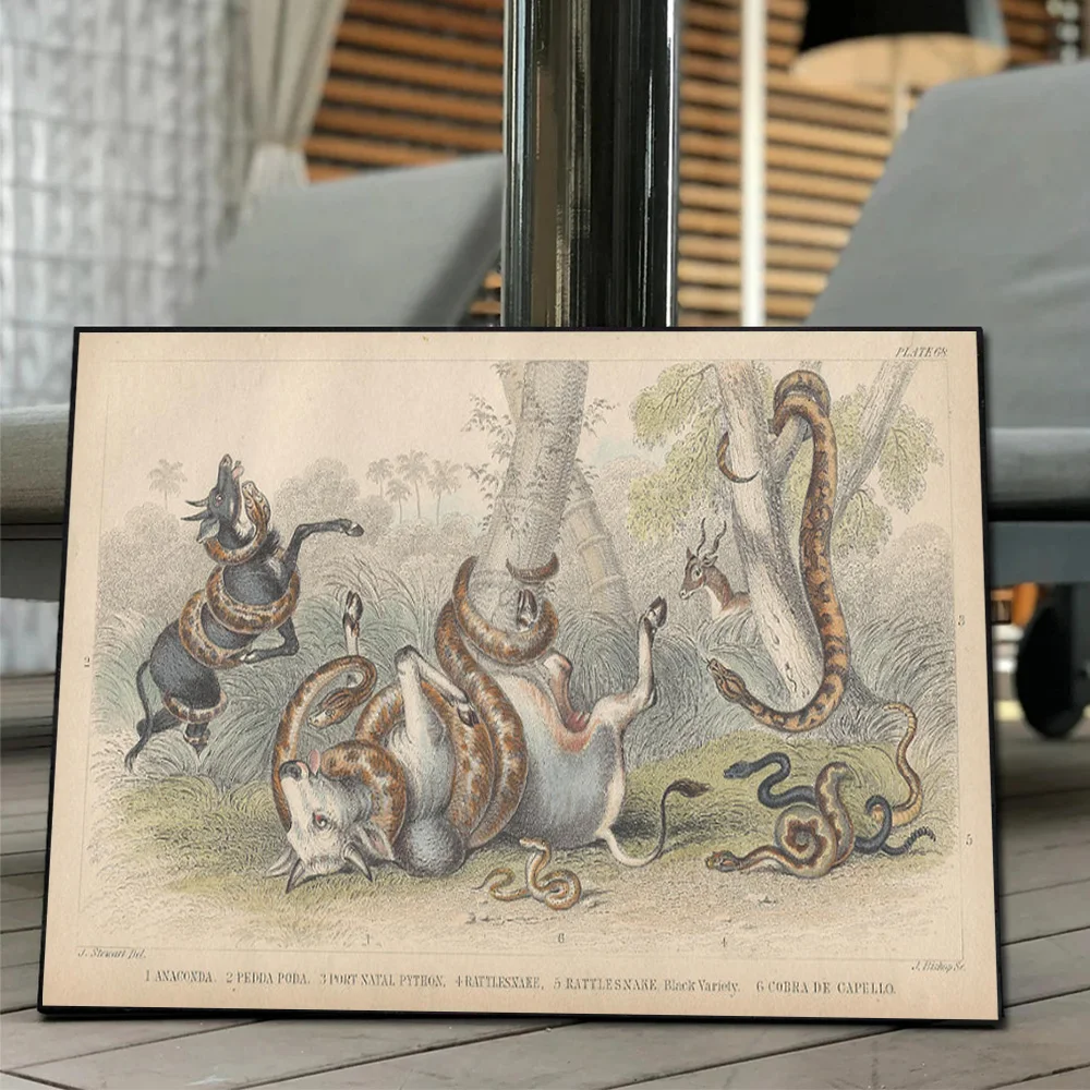 Винтажный плакат с изображением природы Оливера золотого Смита история земли и