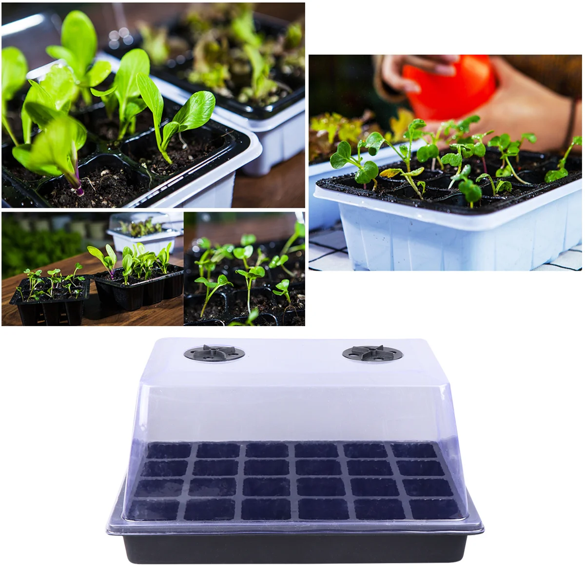

1 Set 3pcs Diy Propagation Tray Heavy Duty Propagation Trays Greenhouse Tray Germination Trays