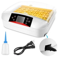 digital clear egg incubator with automatic egg turning and humidity temperature control
