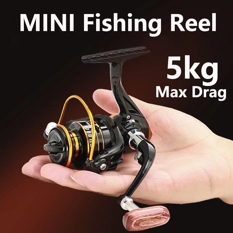 

Mini Fishing Reel Max Drag 5kg Small Spinning Wheel Lure Winter Ice Saltwater Freshwater Carp Raft Fishing Accessories