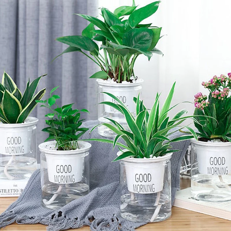 

Круглый автоматический поглощающий воду самополивающийся цветочный горшок гидропонный цветочный горшок