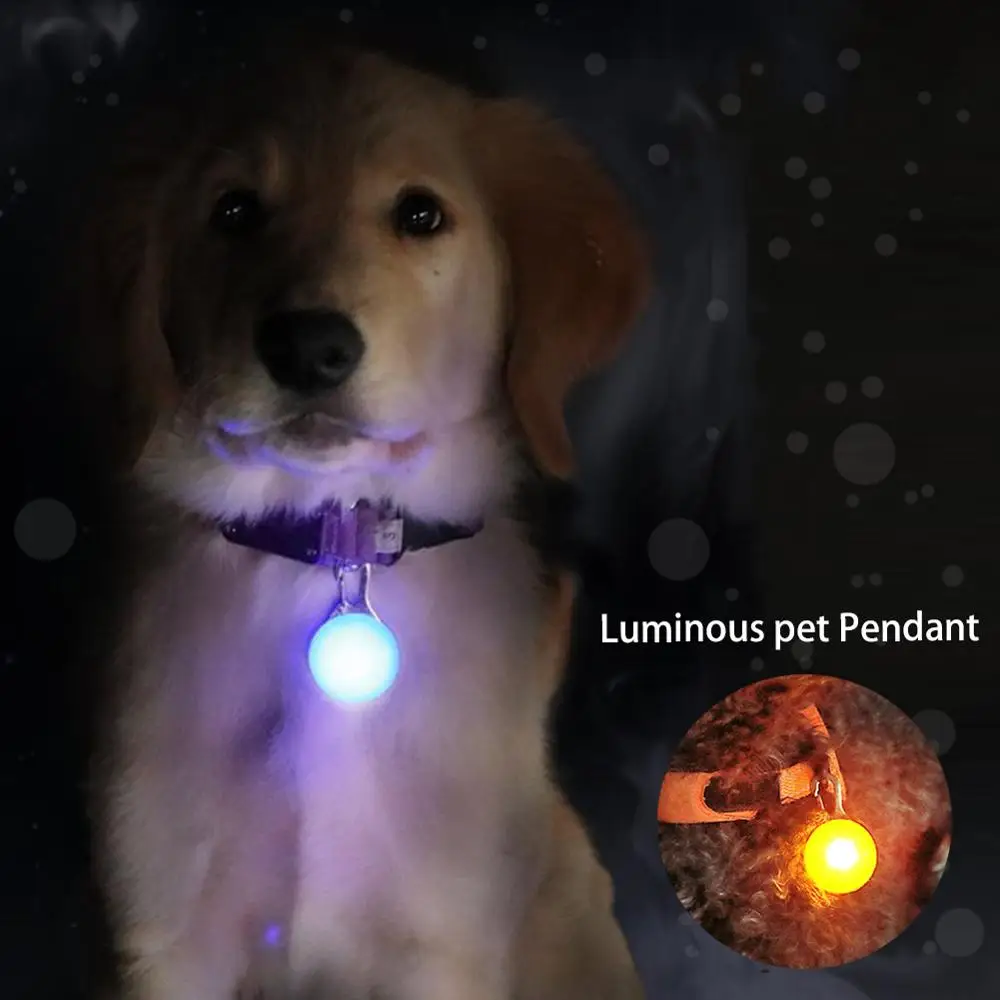 

Cute Pet Night Safety LED Flashlight Collar Dog Guide Lights Glowing Pendant Necklace Pet Luminous Bright Glowing Collar in Dark