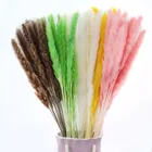 Тростник, пампасы, пшеничные уши, кроличьи хвосты, трава, Натуральные сушеные цветы, букет, украшение, Сено для свадебной вечеринки, богемная комната, дом 2022