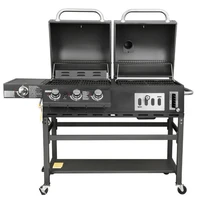outdoor barbecue picnic garden party cooking combination gas and charcoal grill