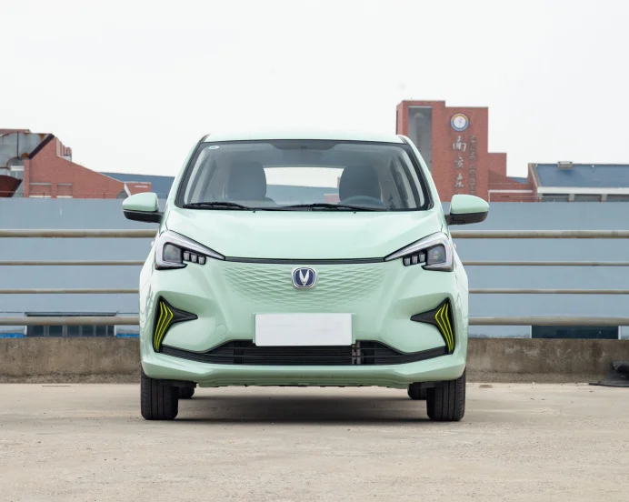 Рисунок 4 - Changan benben e-star changan-benben