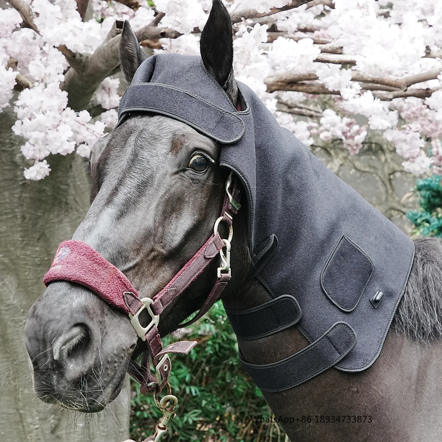 SODOLUX инфракрасный пояс для животных