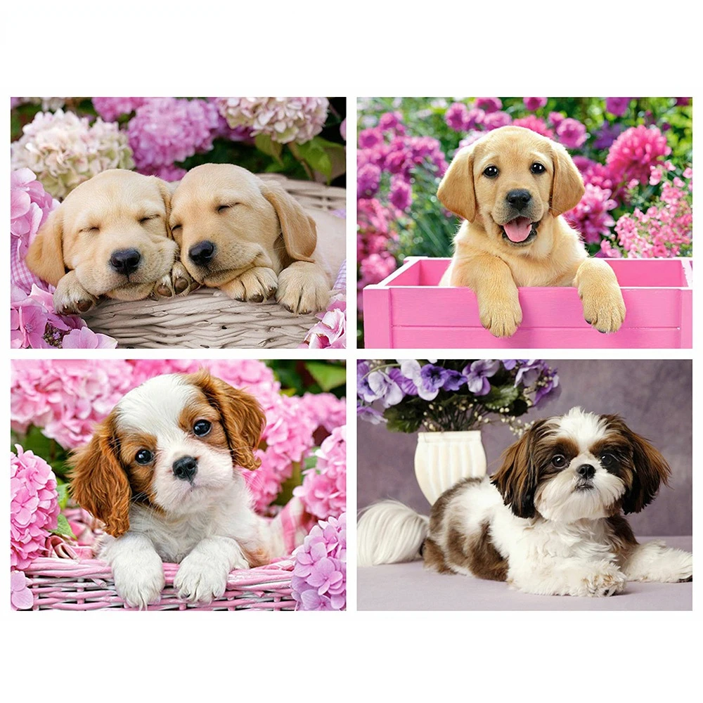 

5D Diy алмазная живопись собака в коробке полная фотография наборы для вышивки крестиком домашний декор Новые поступления 2023