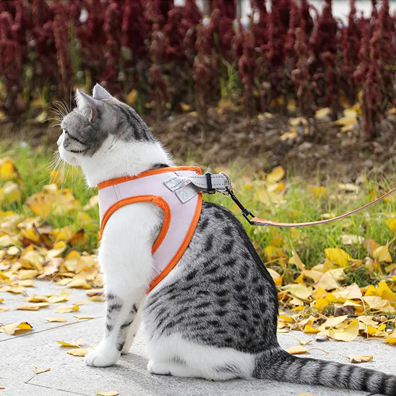 

Chest Strap for Cat Collar, Pet Safety Traction Rope, Anti-Breakaway Safety Belt, Sturdy Buckle, Metal Material, Puppy