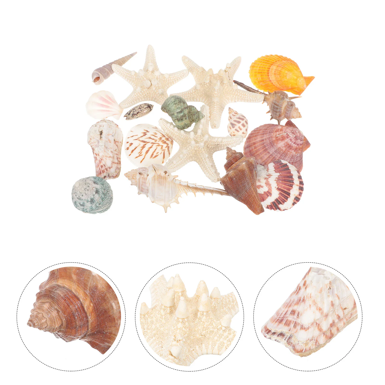 

Ракушки ракушки Декор Морская звезда ракушки морской океан аквариум натуральный Сделай Сам изготовление свечей поделки подарок маме на де...