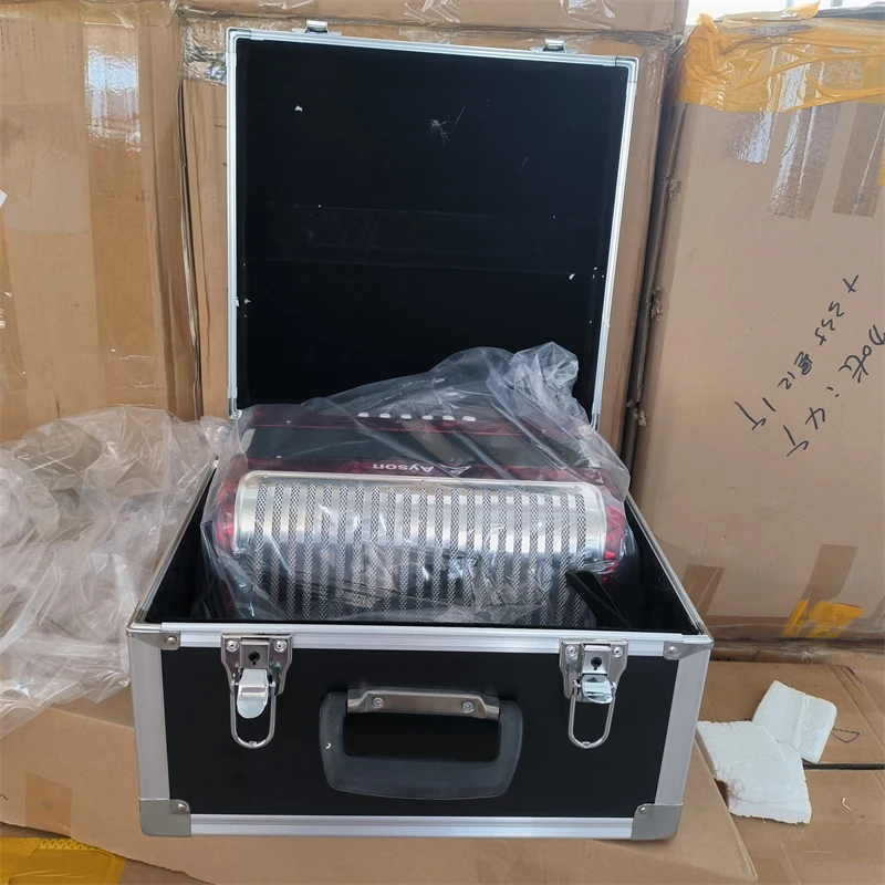 31 клавиша 12 басов кнопка гармошка баяны с ABS Чехол