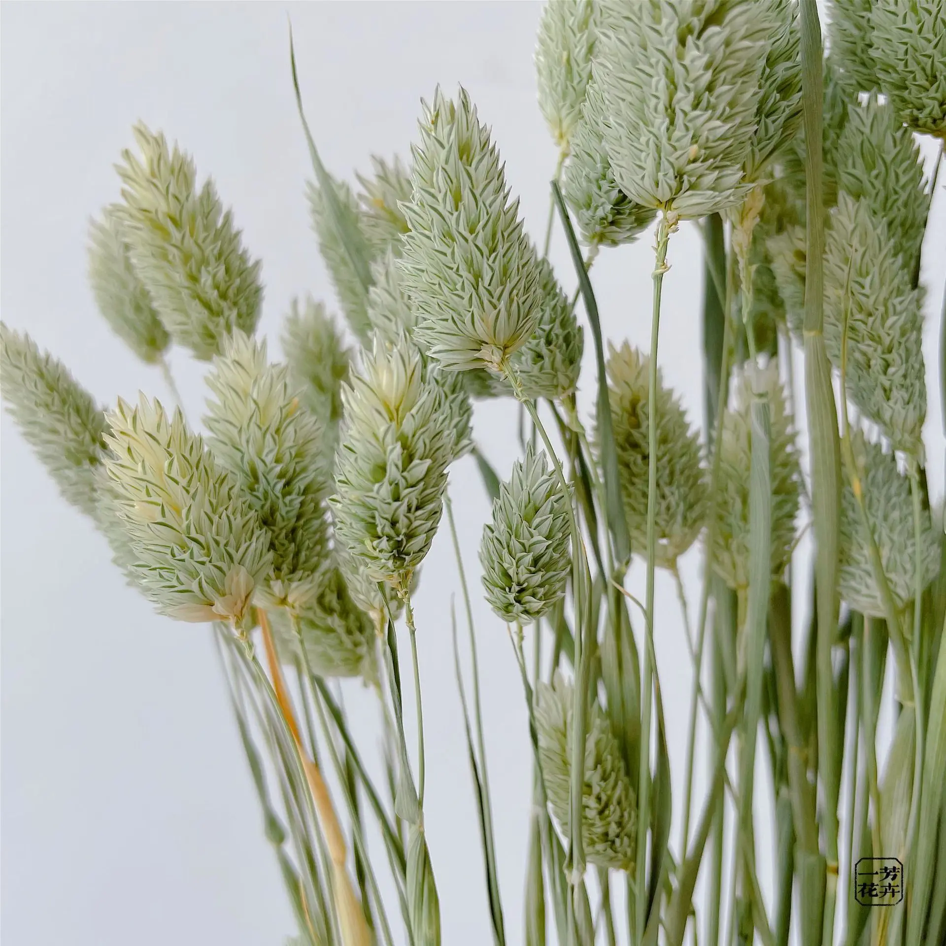 

Jewel grass dried flower bouquet Boho Decoration Home Bedroom Living Room Christmas Decorations