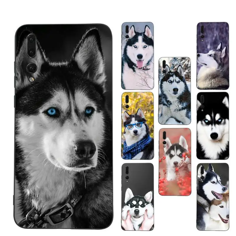 

Alaskan Huskies Dog Phone Case for Huawei Honor 10 i 8X C 5A 20 9 10 30 lite pro Voew 10 20 V30
