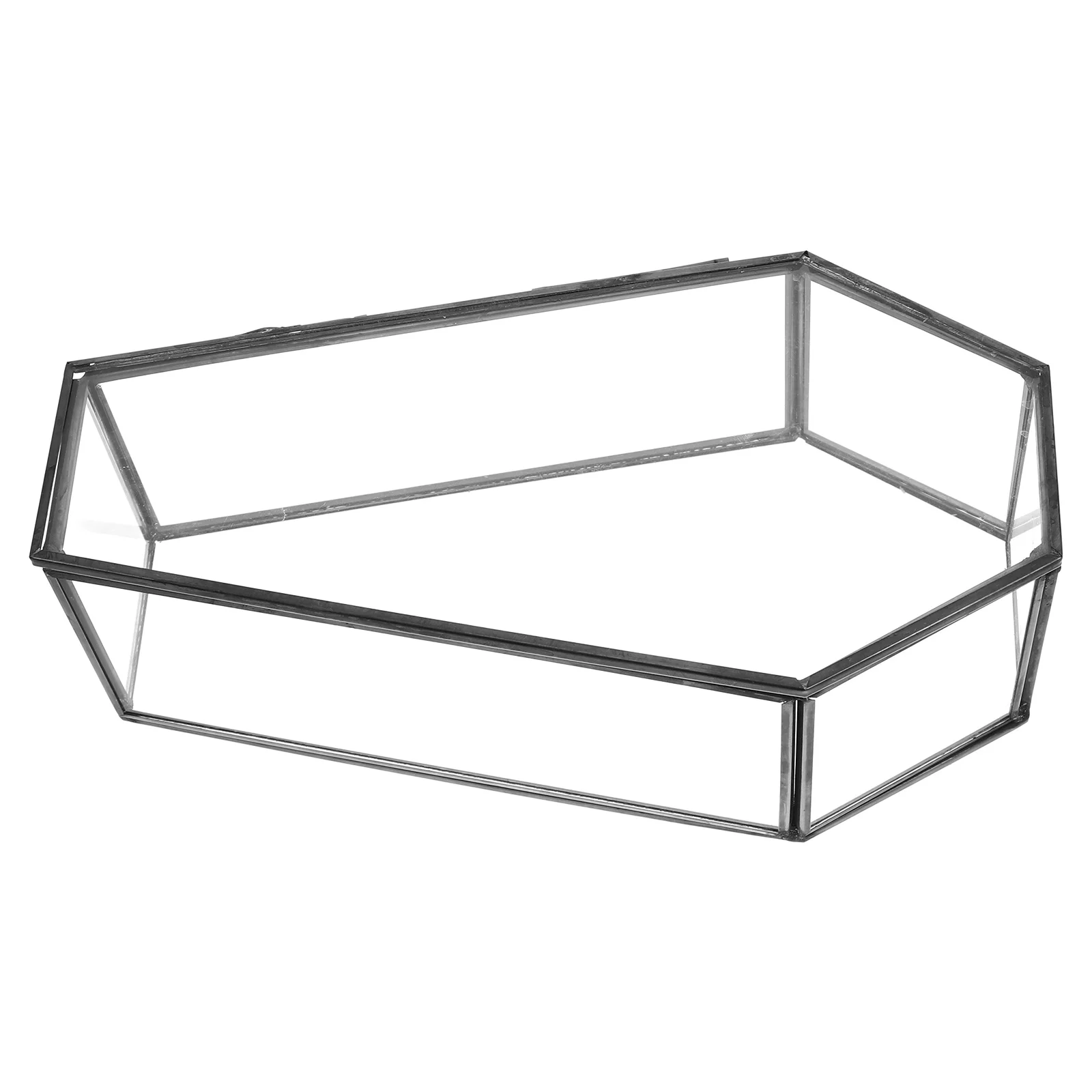 Стеклянная шкатулка для драгоценностей в виде гроба винтажная витрина на память