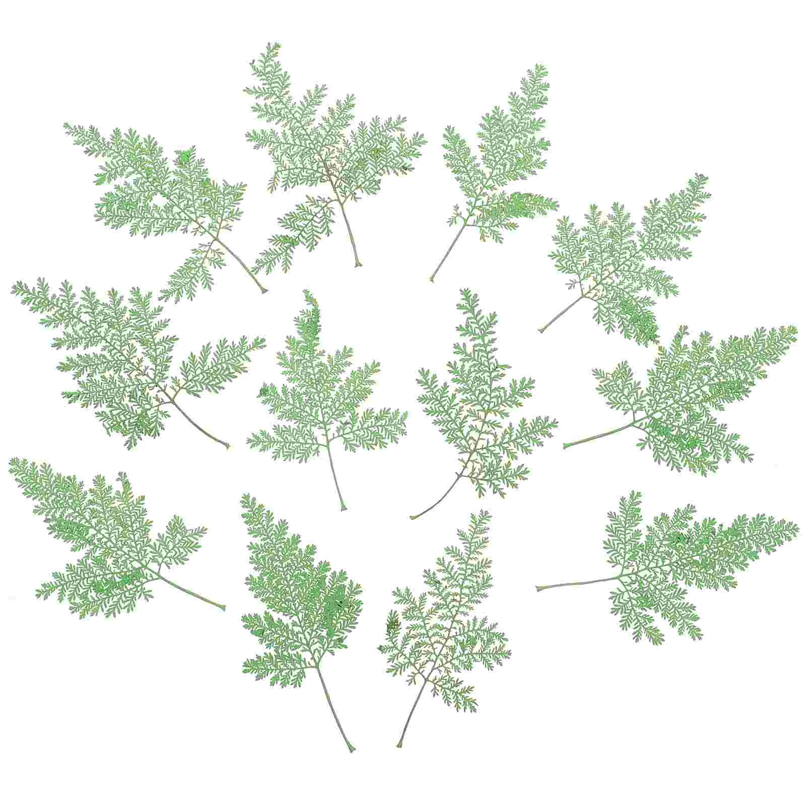 

48Pcs Dairy Decorative Dried Leaves Material DIY Face Decals Diy Accessory Decorative Pressed Leaves for Scrapbook DIY