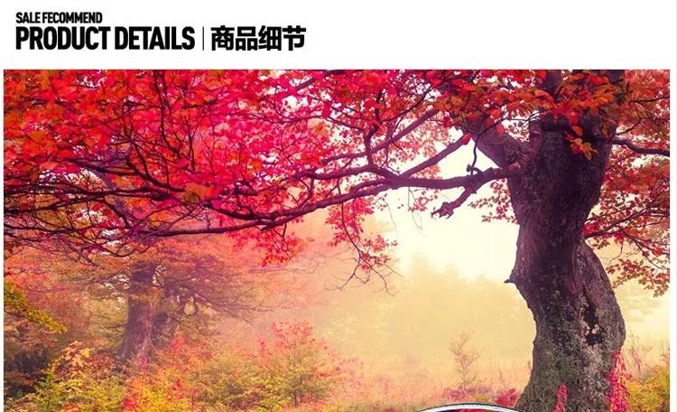 Объемная объемная стереоскопическая Большая фреска на заказ идиллический лес