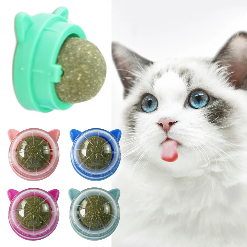 Catnip Treat with Silvervine 1