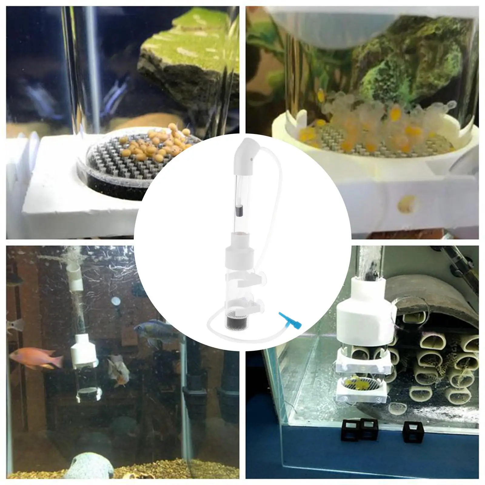 Инкубатор для яиц cichlid оборудование разведения рыбы с орнаментом
