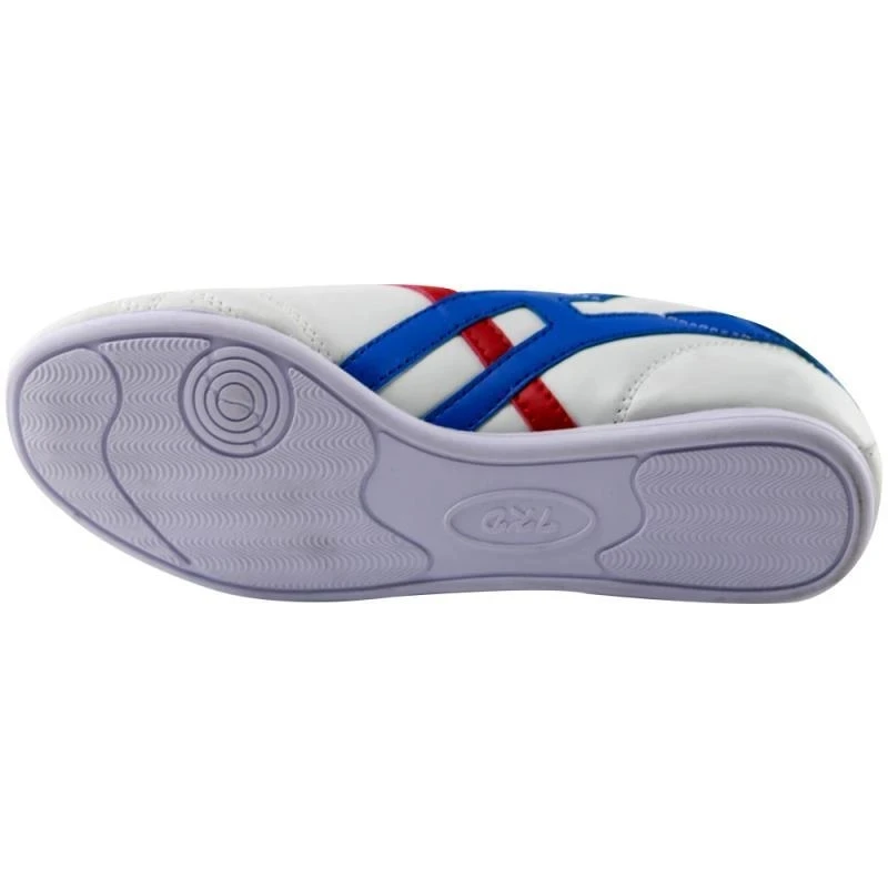 Breathable Taekwondo Shoes Martial Arts Sneaker Boxing Karate Kung Fu Tai Chi Shoes Blue Stripes Sneakers For Men Women Child