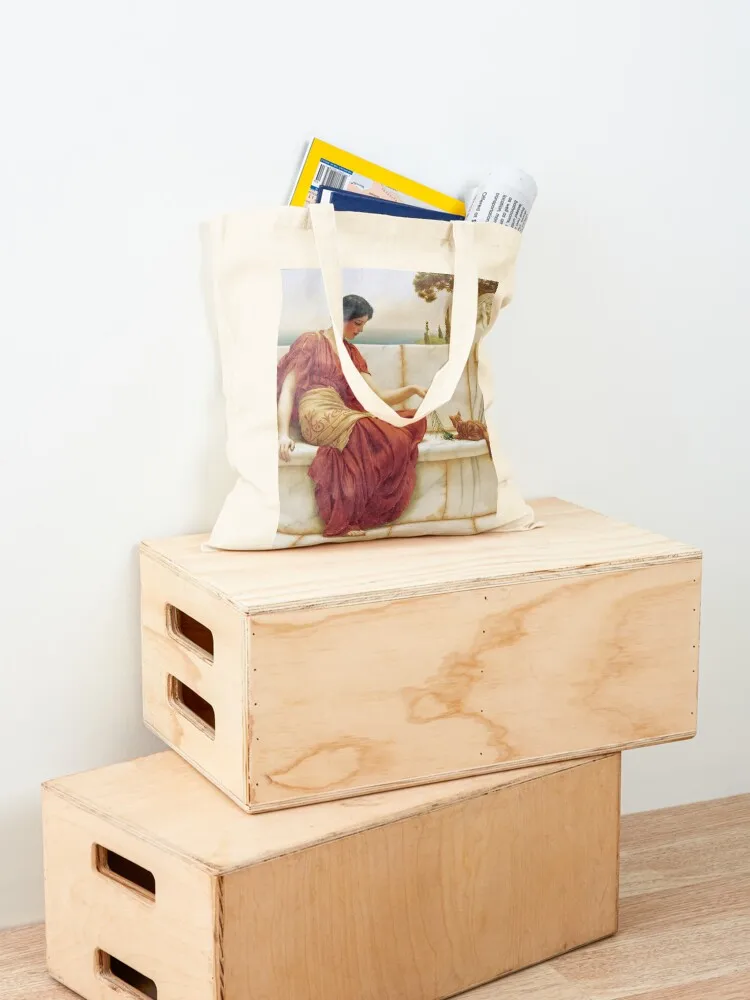 John William Godward - The Favorite Tote Bag женская сумка для покупок Сумка Подарочные пакеты