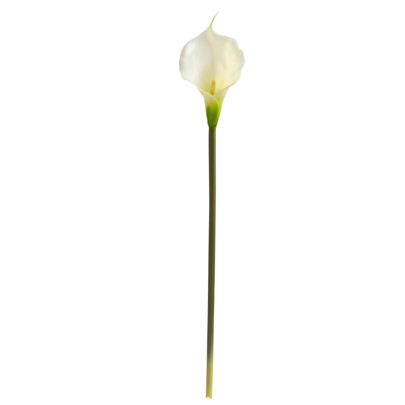 

28 дюймов. Искусственный цветок Calla Lily (набор из 12), крем