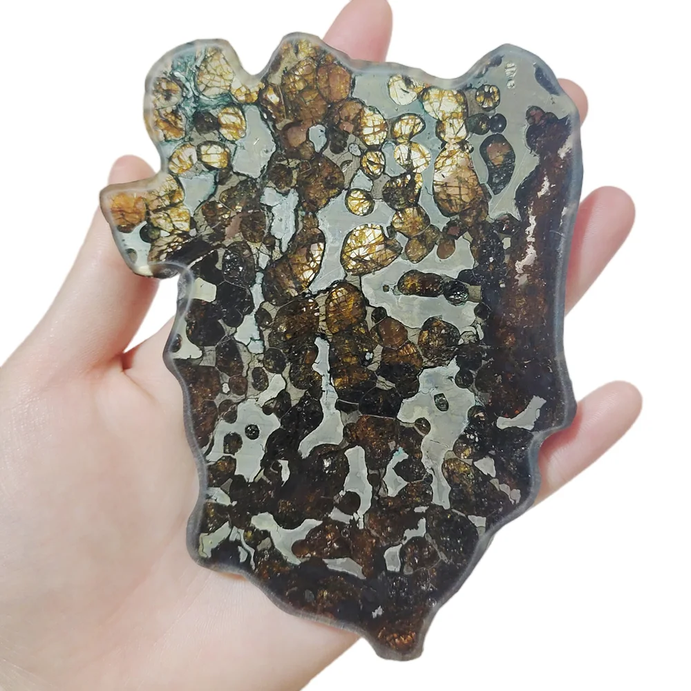 Высококачественный образец Brenham Olivine Meteorite ломтик оливкового метеорита и