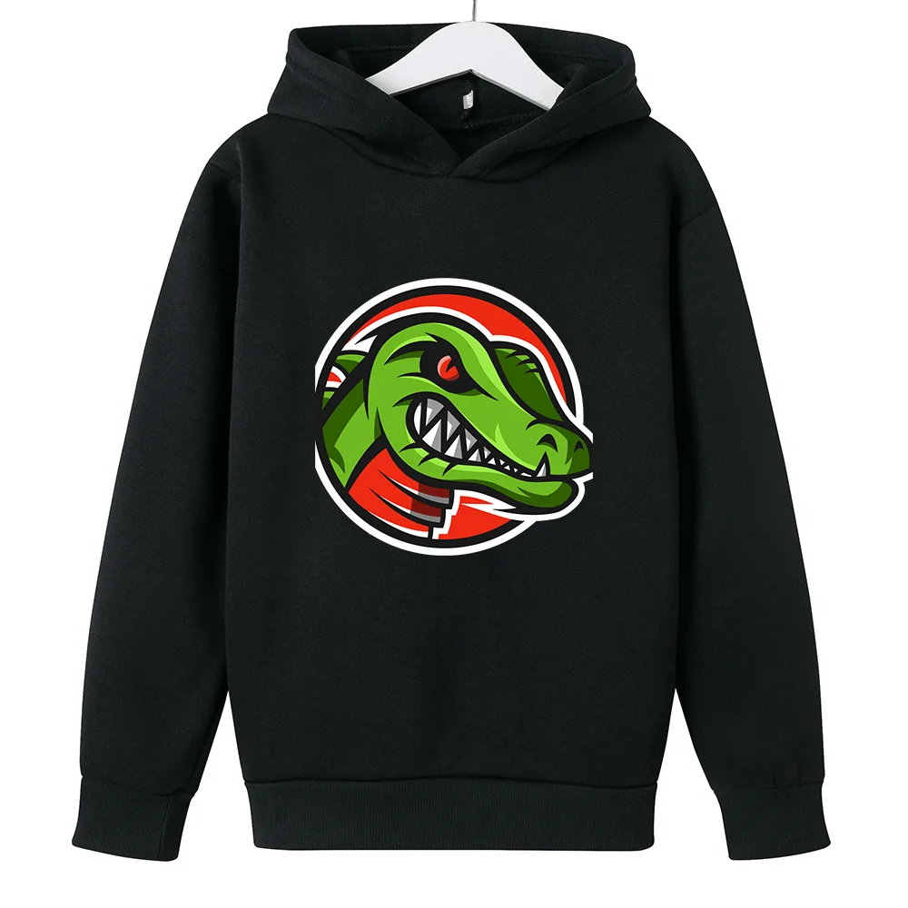 

Women's and Boys' Dinosaur Hoodies, Long Sleeved Sweatshirts, Jurassic Style, Casual Wear for Children Aged 4-14