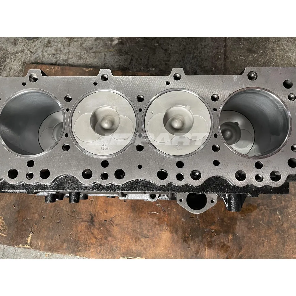 Рисунок 2 - Блок цилиндров 4Bg1 для детали