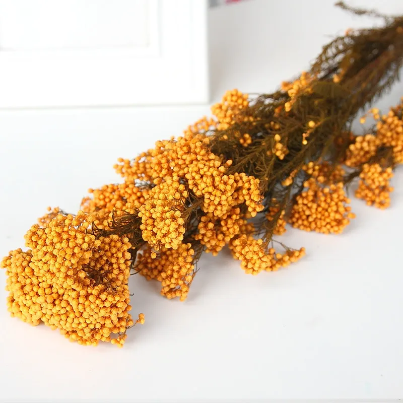 

50g Natural Millet Flower Real Eternal Rice Flower Bouquet DIY Ramadan Decoration 2023 Home Decor Items With Free Shipping