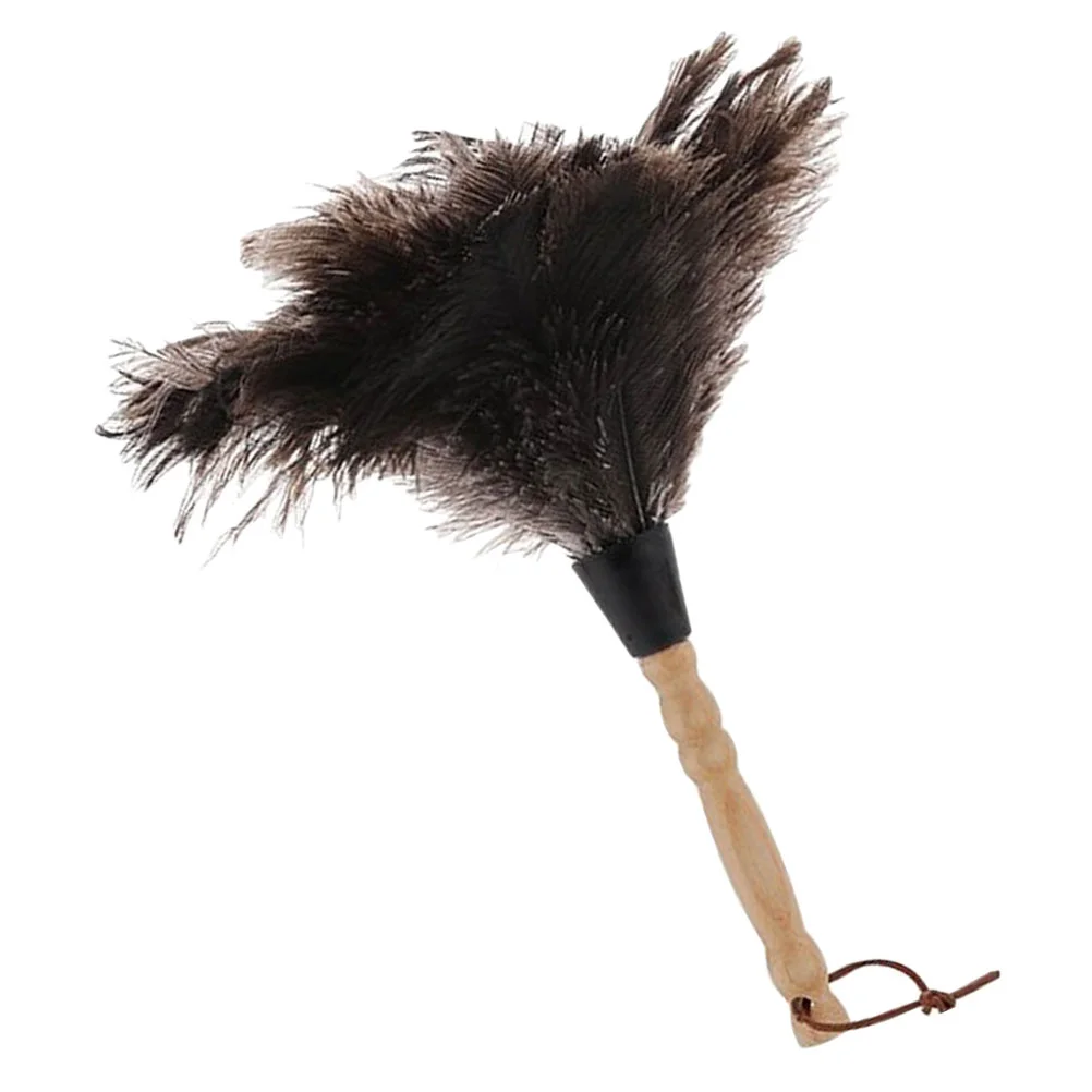

Long Handled Home Duster Car Cleaning Duster Furniture Dust Removing Tool